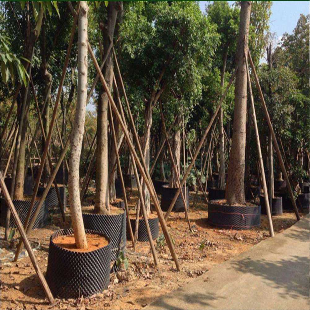Outil de repiquage rapide pour - Outdoor Furniture avis et prix